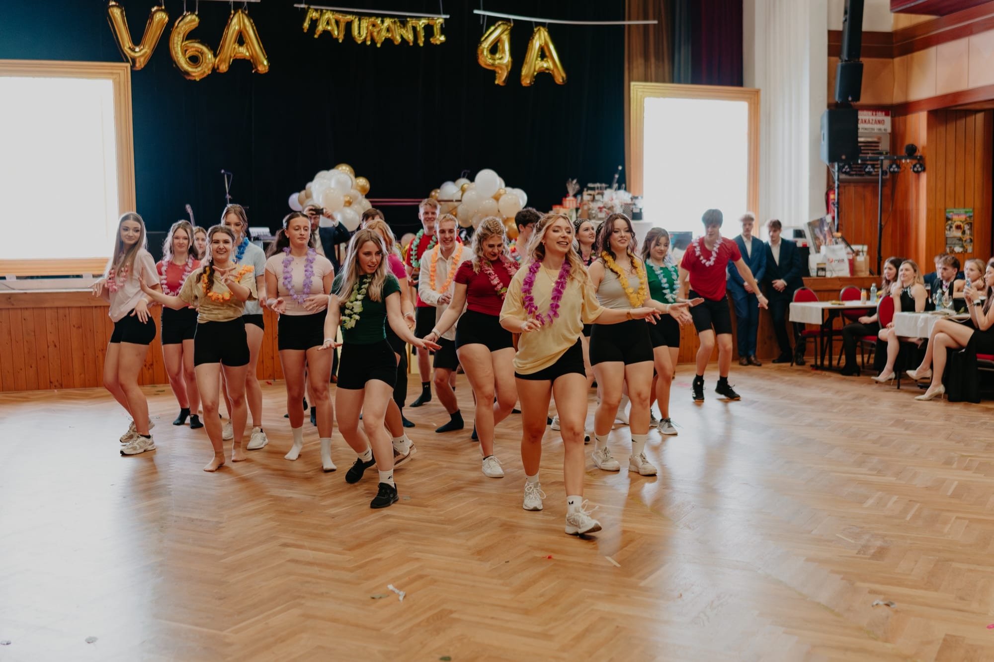 Fotografie z maturitního plesu, Elis za foťákem 20